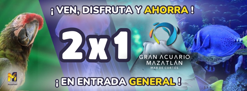 Elegante restaurante